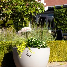 Shining-Curvy-Pot-XM_grey_22026W_113