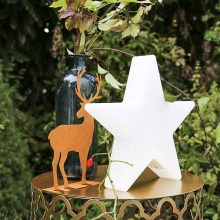 Shining-Star-30_32508L_121