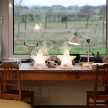 Shining-Star-30_32508L_129